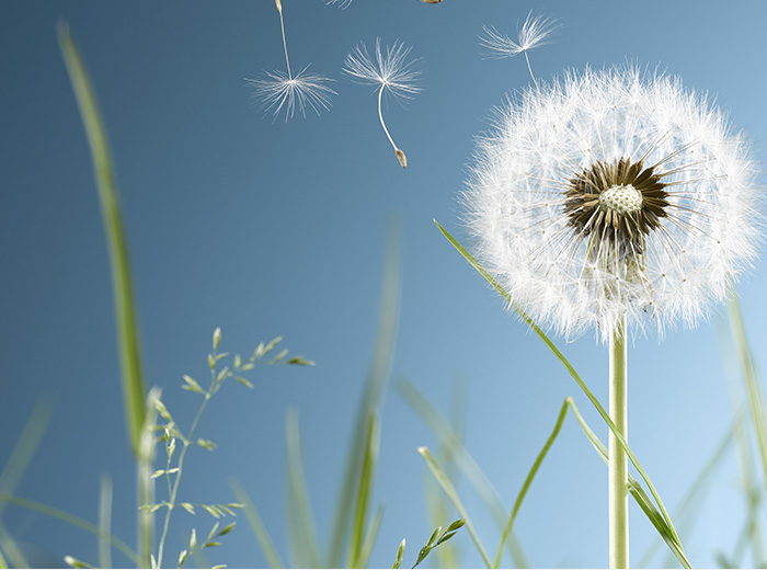 亿万国际的愿景